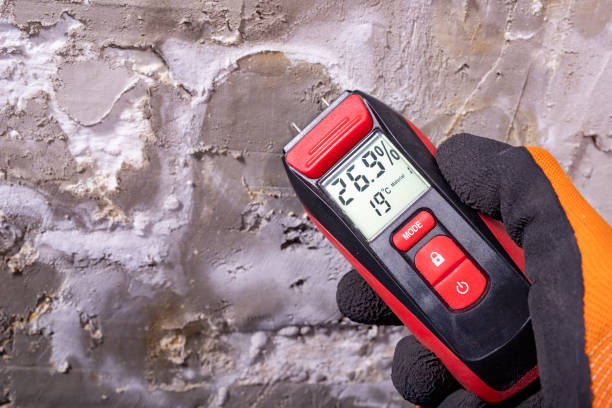 Best Mold Testing  in Brookston, IN
